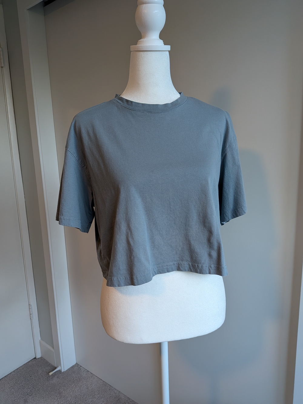 XS 100% Cotton Cropped Crewneck Tee in Slate Gray